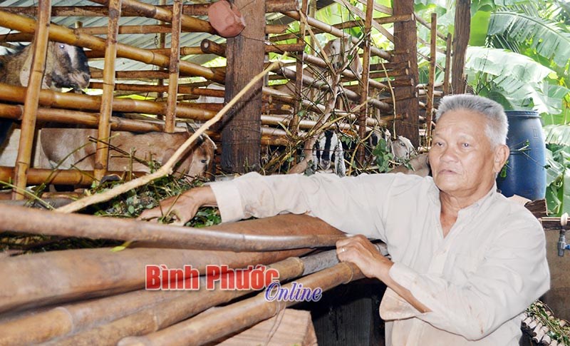 Lão nông sản xuất giỏi tích cực làm từ thiện