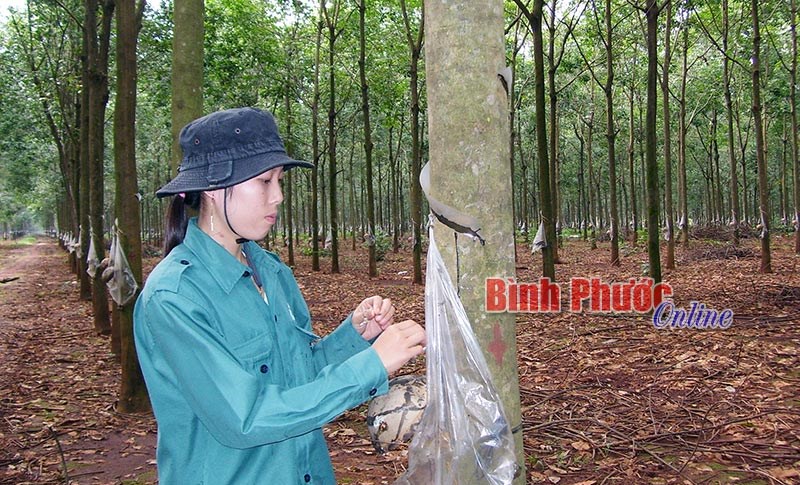 Lợi ích chuyển từ D3 sang D4...