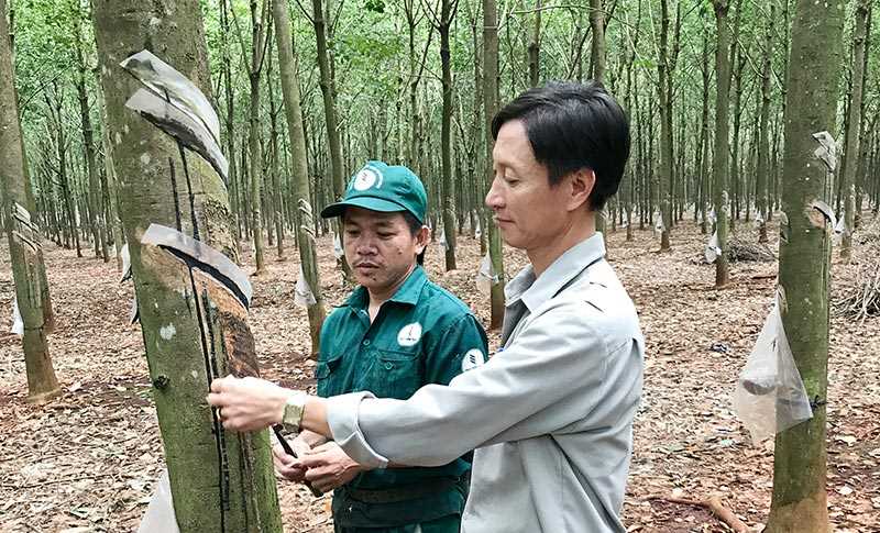 Anh Nguyễn Đức Thịnh - “Công nhân cao su Việt Nam ưu tú”