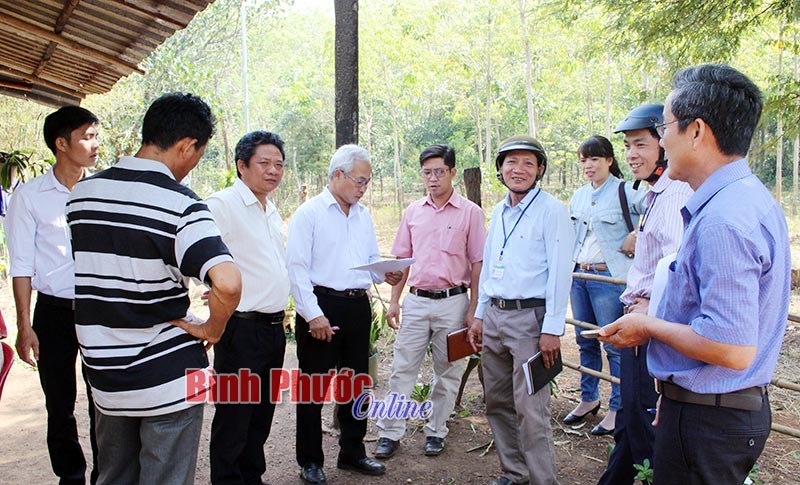 Nhân dân Hớn Quản đóng góp 5,64 tỷ đồng làm đường nông thôn