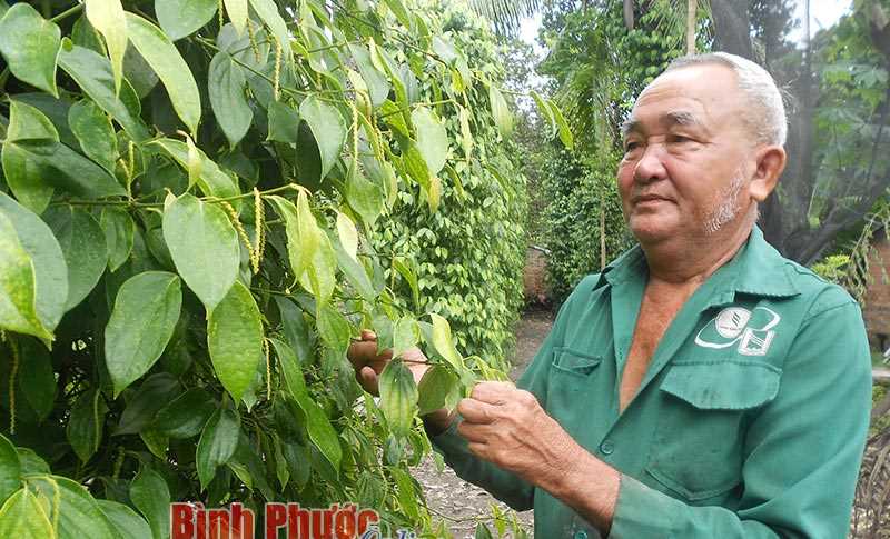 Nhà nông Võ Văn Sinh làm kinh tế giỏi