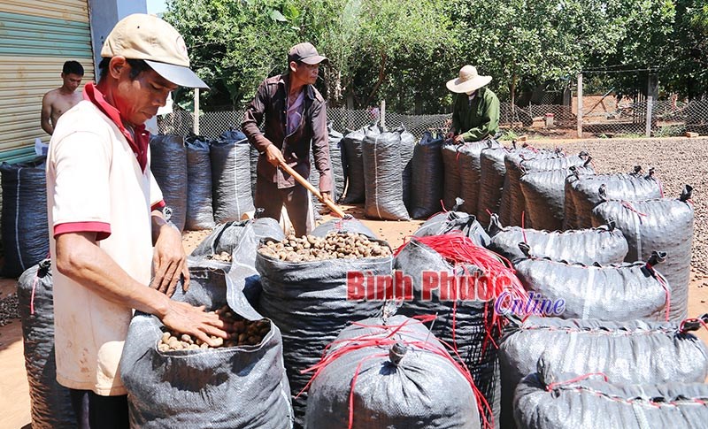 Những lợi thế của Bình Phước trong thu hút đầu tư