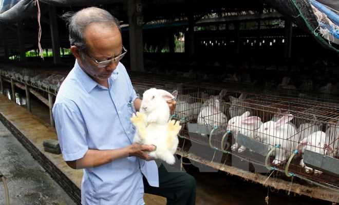 Rào cản của "cú hích" 100.000 tỷ đồng cho nông nghiệp công nghệ cao