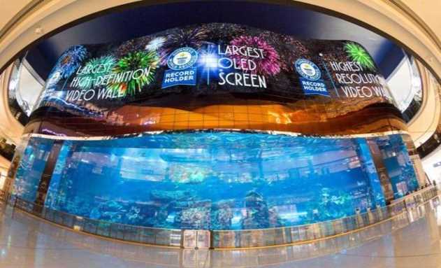 Tập đoàn LG lập kỷ lục về bảng hiệu OLED lớn nhất thế giới
