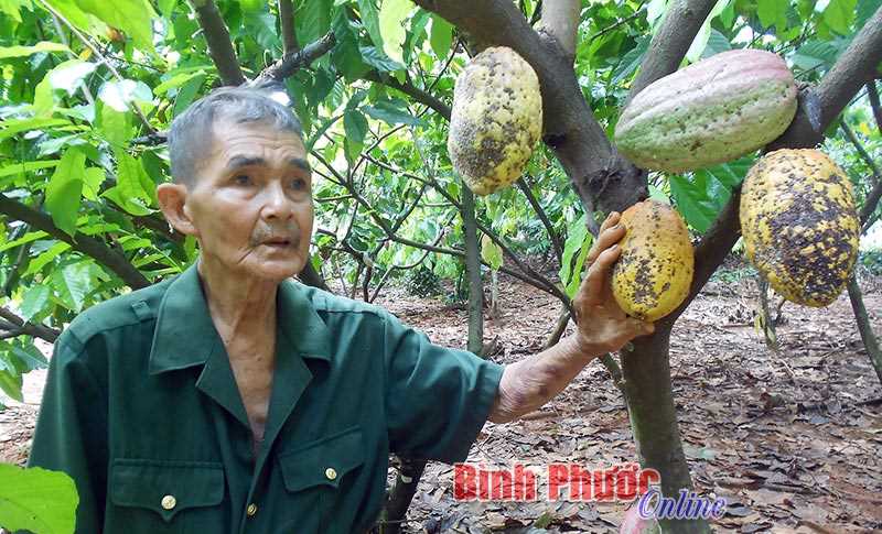 Ph&aacute;t huy truyền thống gia đ&igrave;nh c&aacute;ch mạng
