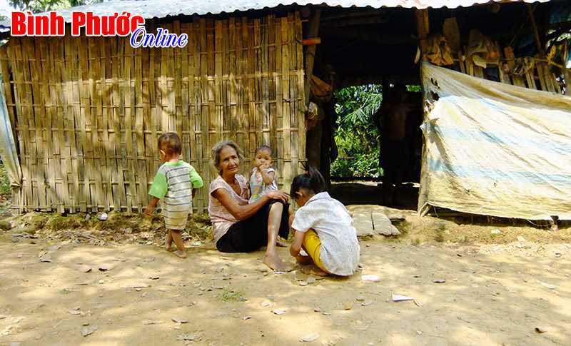 Người nghèo vùng DTTS được vay 50 triệu đồng với lãi suất giảm một nửa, thời hạn vay tăng gấp đôi