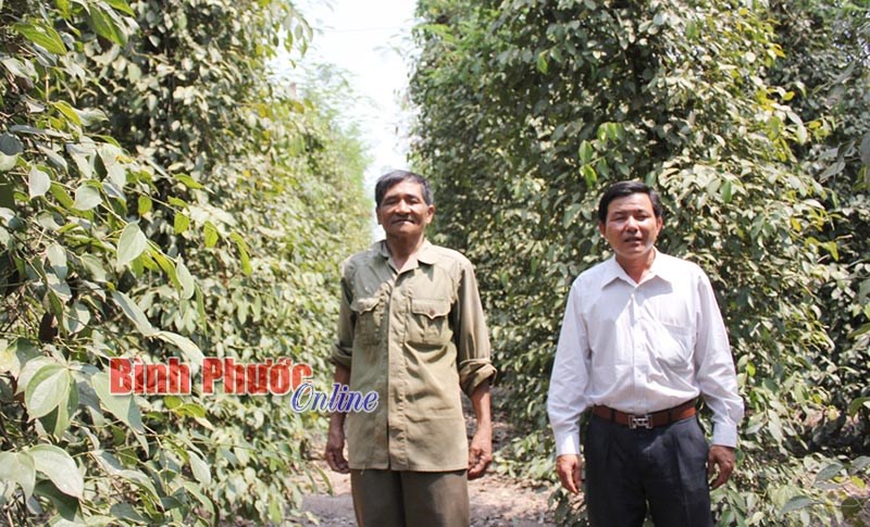 “Quỹ đồng đội” ở Hội CCB Lộc Ninh