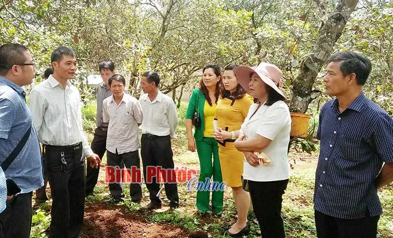 Ra mắt Chi hội điều Bù Đăng