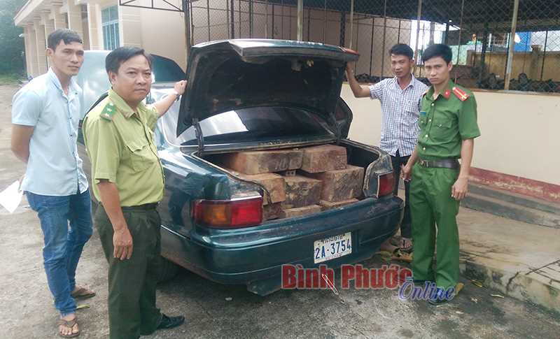Bù Đốp bắt giữ xe camry chở 1,4 m3 gỗ quý