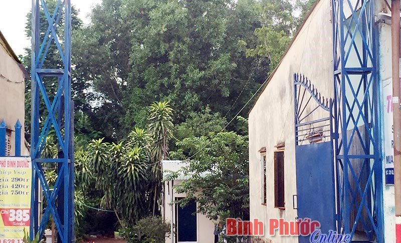 &nbsp;&ldquo;B&aacute;c thằng bần&rdquo; v&agrave;o trại