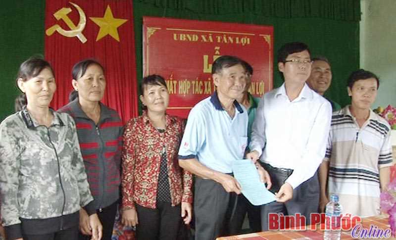 Tân Lợi ra mắt hợp tác xã rau sạch