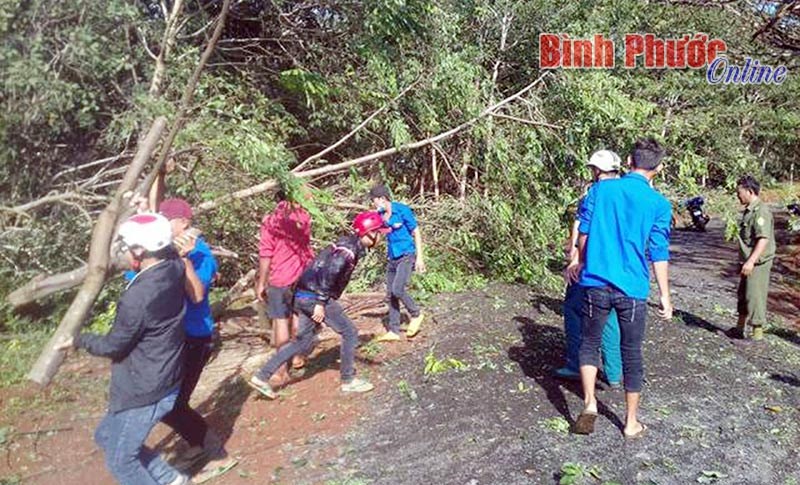 Thực trạng v&agrave; kh&oacute; khăn trong ph&aacute;t triển đảng vi&ecirc;n v&ugrave;ng n&ocirc;ng th&ocirc;n -&nbsp;B&agrave;i cuối