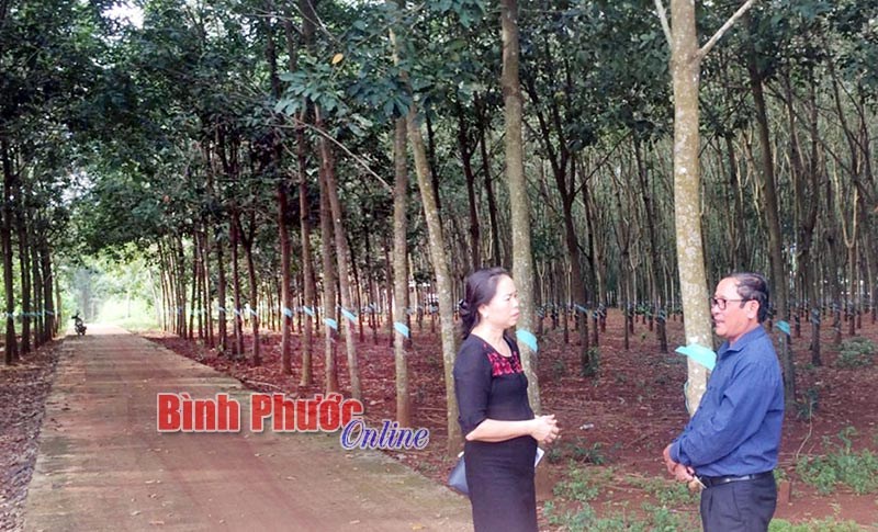 B&iacute; thư chi bộ ki&ecirc;m trưởng th&ocirc;n - m&ocirc; h&igrave;nh hiệu quả - B&agrave;i 2