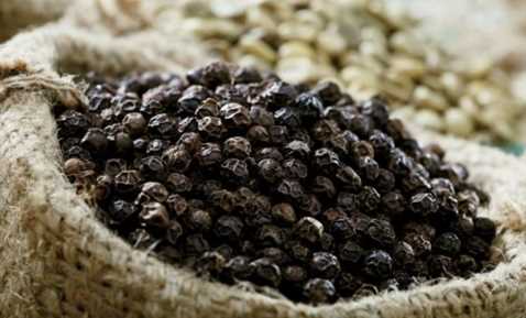 VPA khuyến cáo nông dân không bán tiêu mức giá dưới 80 ngàn đồng/kg