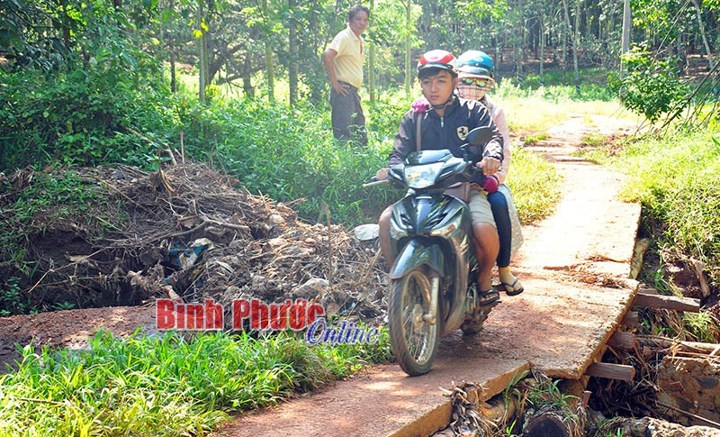 Tín hiệu vui từ Dự án LRAMP