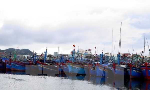 Theo dõi chặt chẽ diễn biến của bão số 4 để chủ động ứng phó