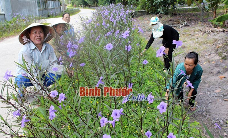 Trồng hoa làm đẹp cuộc đời