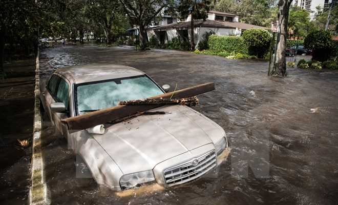Bão Irma khiến 200 người trên đảo St. Martin có thể mất tích