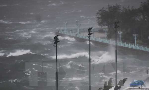 Bão Hato quét qua miền Nam Trung Quốc làm 10 người thiệt mạng