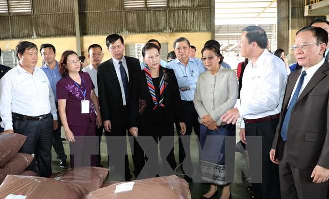 "Việt Nam-L&agrave;o sẽ tiếp tục ph&aacute;t huy truyền thống đo&agrave;n kết đặc biệt"