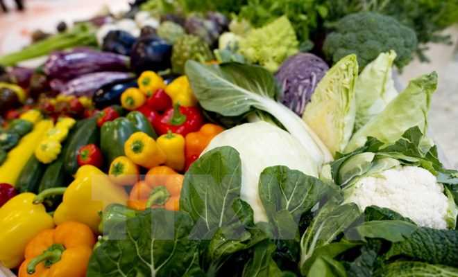 Đột phá: Vitamin B3 giúp ngăn chặn dị tật thai nhi và sảy thai