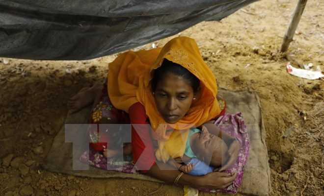 Australia cam kết viện trợ 5 triệu AUD cho người Rohingya