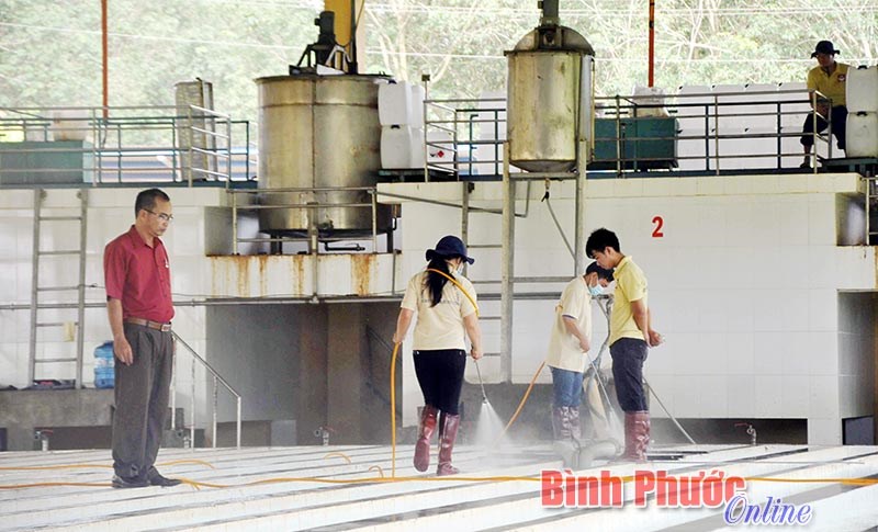  “Vàng trắng” nơi biên giới