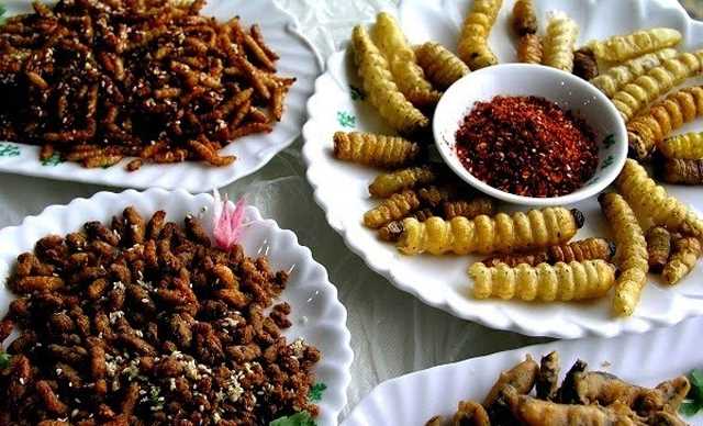 Về miền gái đẹp nổi tiếng Việt Nam thưởng thức món loi choi sả ớt