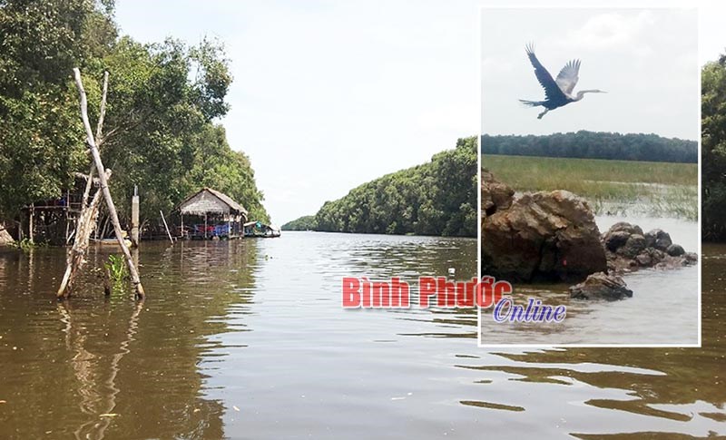 Về Tràm Chim thả hồn vào thiên nhiên