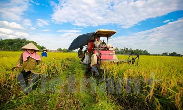 Thủ tướng đốc th&uacute;c thực hiện giải ph&aacute;p ph&aacute;t triển kinh tế-x&atilde; hội