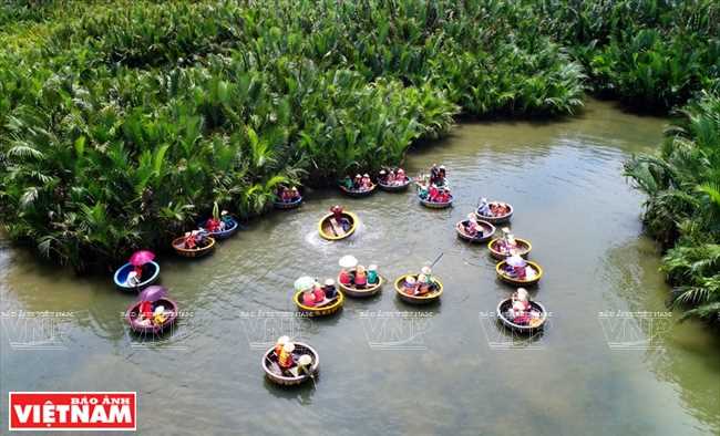 Xanh mướt xứ dừa Cẩm Thanh