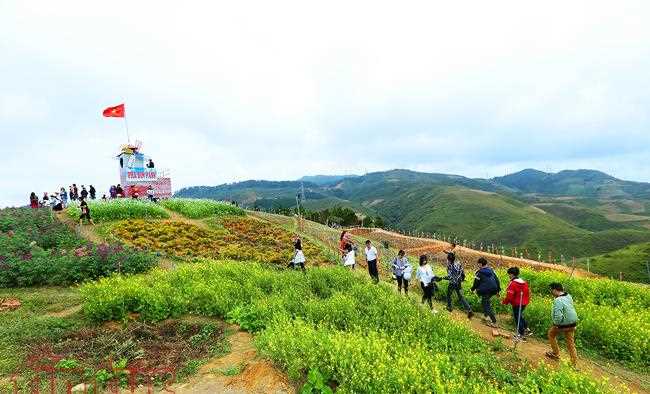 Thơ mộng điểm dừng ch&acirc;n tr&ecirc;n đỉnh đ&egrave;o Pha Đin 