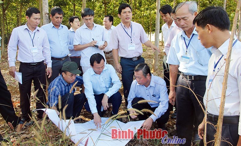 Cấp giấy chứng nhận quyền sử dụng đất cho đồng bào DTTS đạt 92,43%