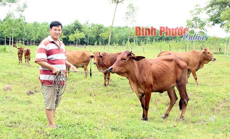 Ấm áp đồng vốn xoay vòng