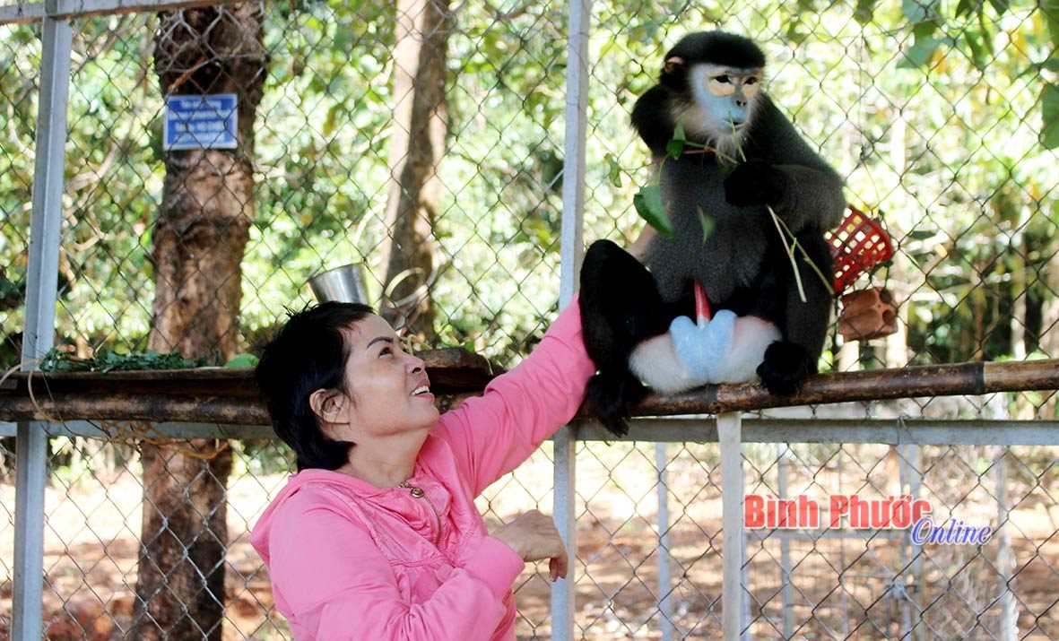 Trung tâm Cứu hộ, bảo tồn, phát triển sinh vật tiếp nhận vọc chà vá
