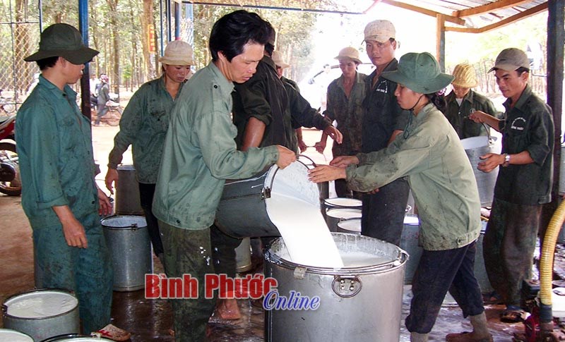 Bảo vệ thương hiệu từ chất lượng sản phẩm