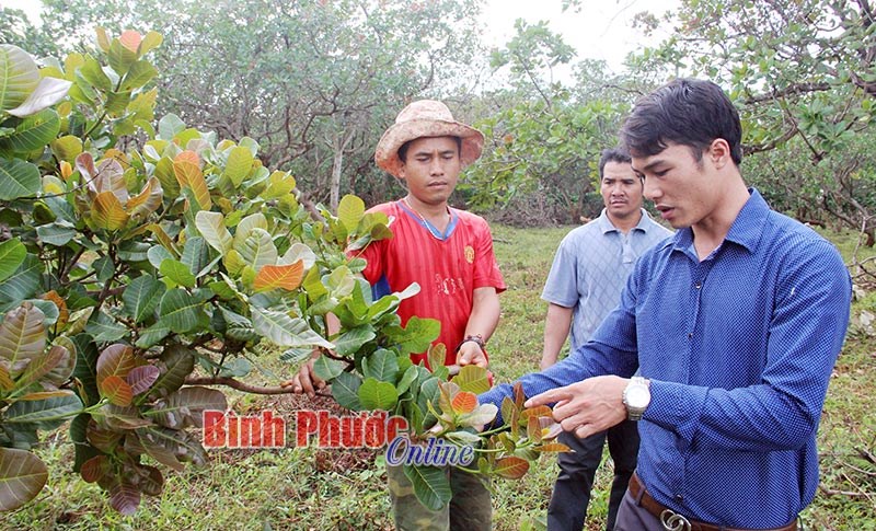 BÙ ĐĂNG: Nhiều tín hiệu khả quan vụ điều 2017-2018