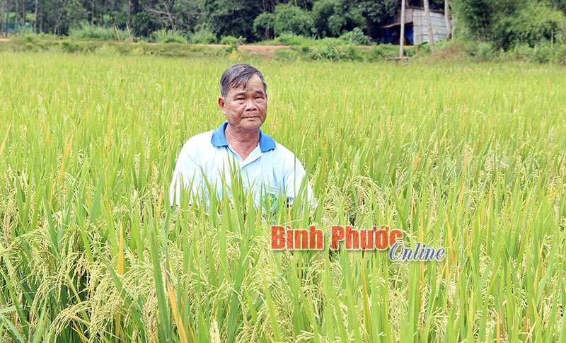 Bù Đốp đầu tư hơn 300 triệu đồng cho các mô hình khuyến nông