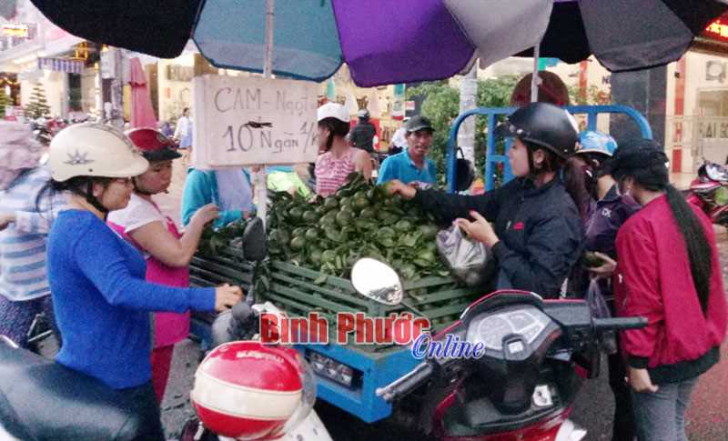 Giá cam sành giảm mạnh