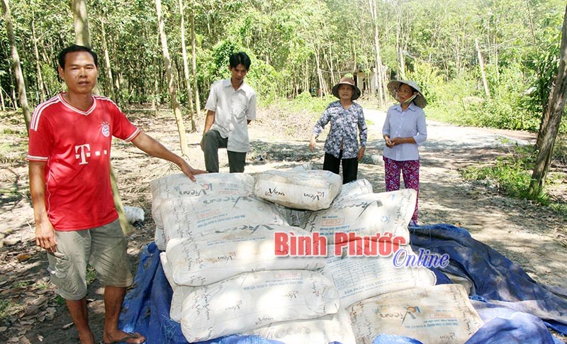 Cần làm rõ khuất tất trong làm đường giao thông ở xã Tân Quan