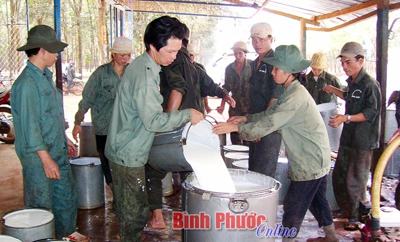 Cổ phần hóa - VRG tái cơ cấu để phát triển toàn diện, bền vững