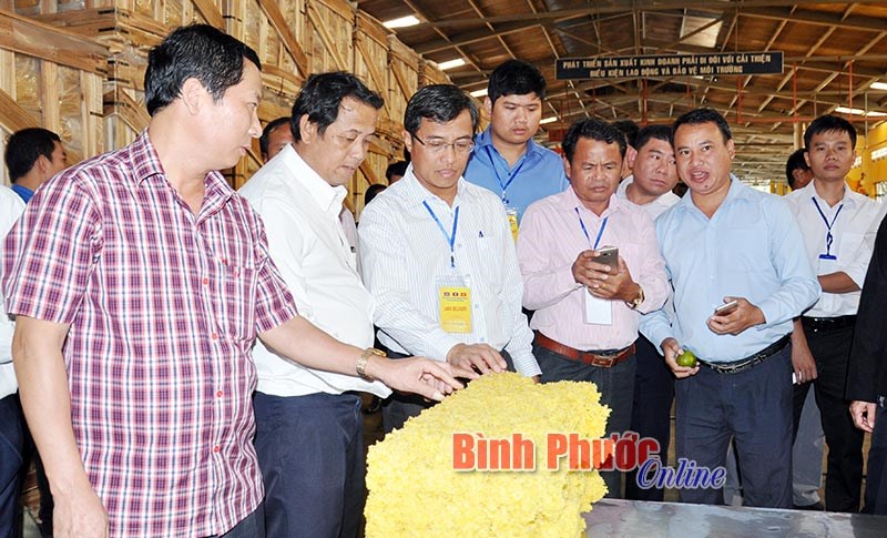 C&aacute;n bộ cấp cao Campuchia v&agrave; L&agrave;o tham quan nh&agrave; m&aacute;y chế biến mủ cao su, sản xuất điều