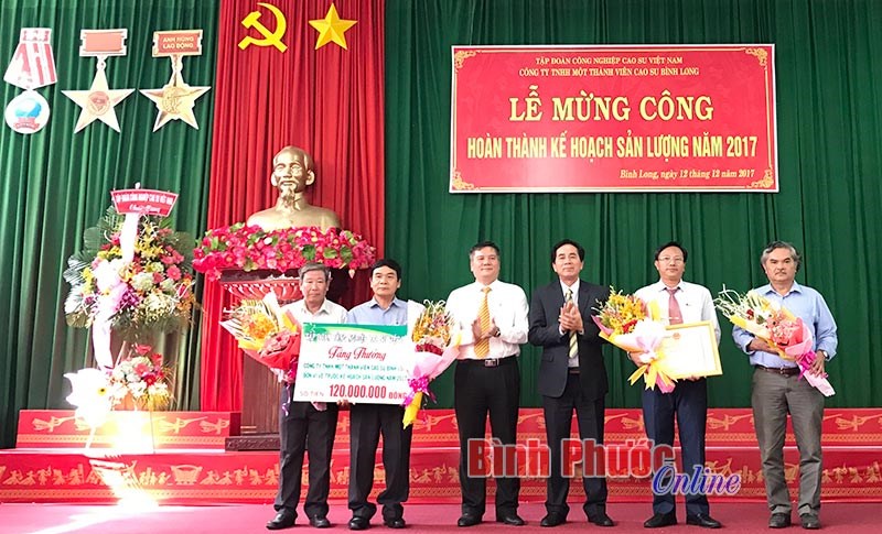 Cao su Bình Long phấn đấu khai thác vượt 1.200 tấn mủ