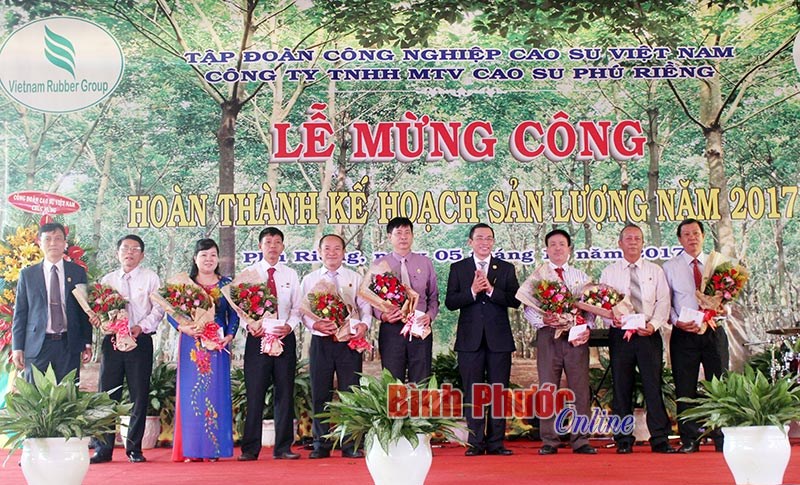 Xuân sớm ở Cao su Phú Riềng