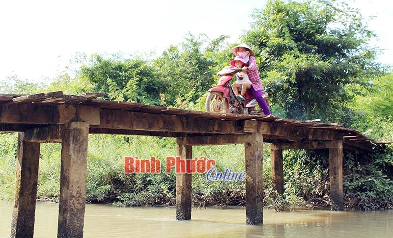 Cần lắm c&acirc;y cầu d&acirc;n sinh