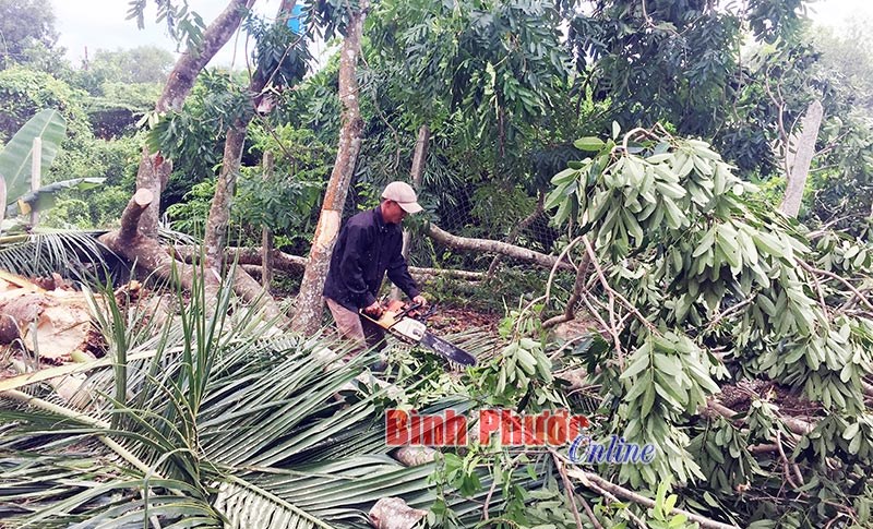 C&ocirc;ng tr&igrave;nh của &yacute; Đảng, l&ograve;ng d&acirc;n