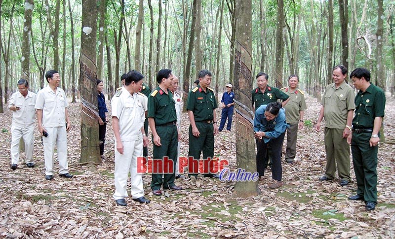 Tiếp tục x&acirc;y dựng hội CCB mạnh về ch&iacute;nh trị, tư tưởng, tổ chức