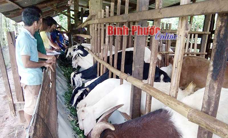 Nhân dân ủng hộ trên 9,5 tỷ đồng xây dựng NTM