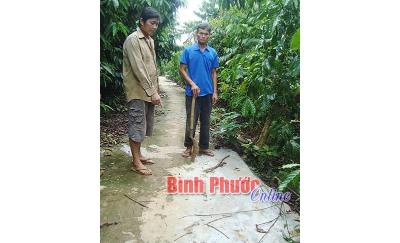 Đã làm rõ khuất tất trong làm đường giao thông ở thôn 9