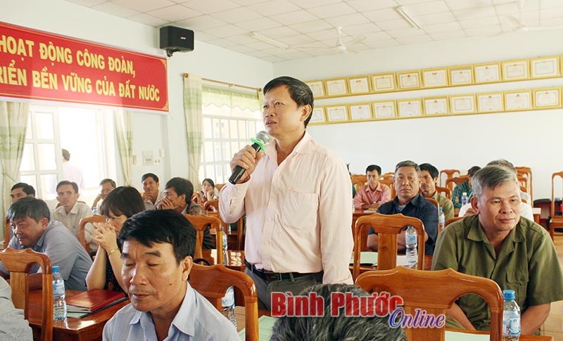 Đánh giá mô hình tưới tiêu công nghệ Israel trên cây tiêu